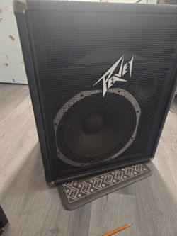 Peavey 315S PA Speaker