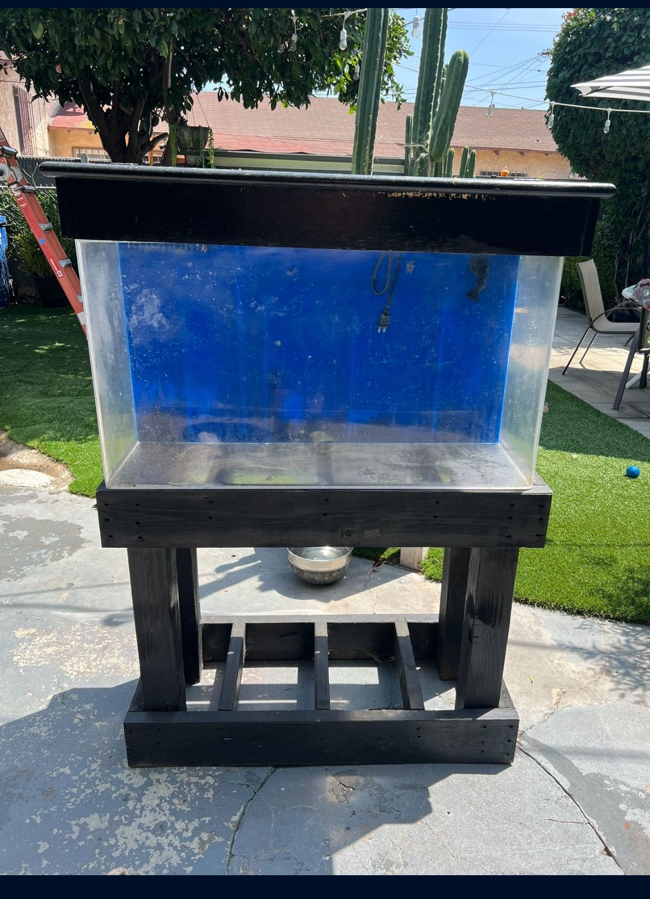 Fish Tank