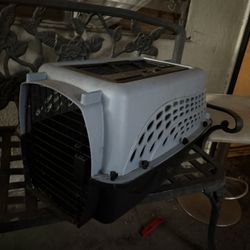 big cat carrier 