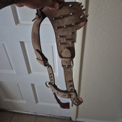 Dog Collar 🐕 
