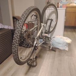 Adult Bicycle 
