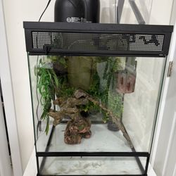 Chameleon Enclosure 18 X18x24 Inch 