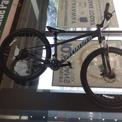 Specialized Rockhopper Bike