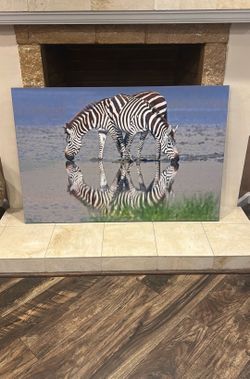 Zebra Reflection Canvas Wall Art - 48x32
