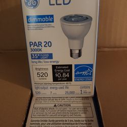 Lights Bulbs 6pk