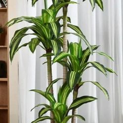 Planzen Artificial Dracaena Tree
