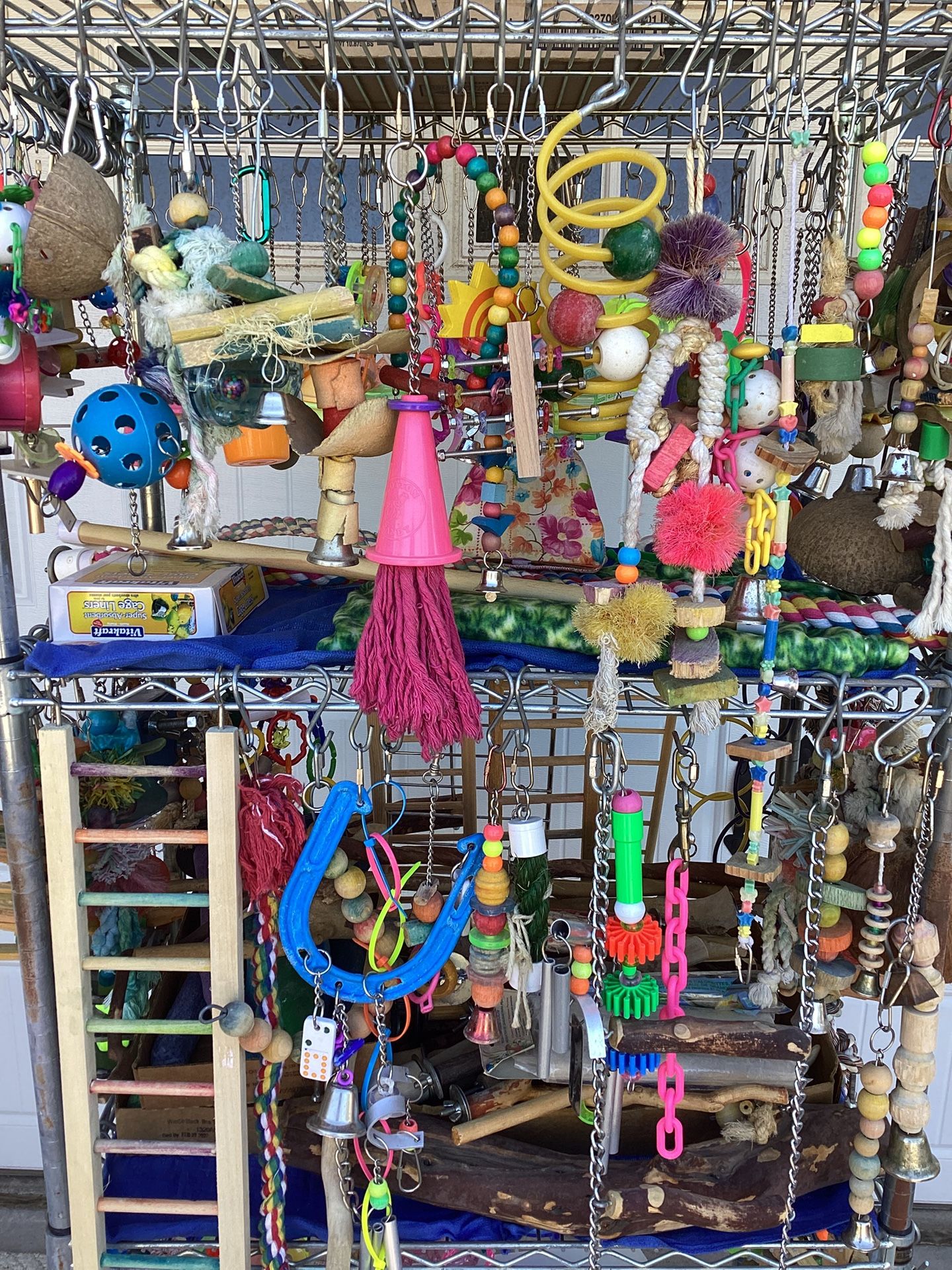 Bird / Parrot / Toys