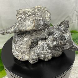 Crystal Picasso Jasper Angel Cat