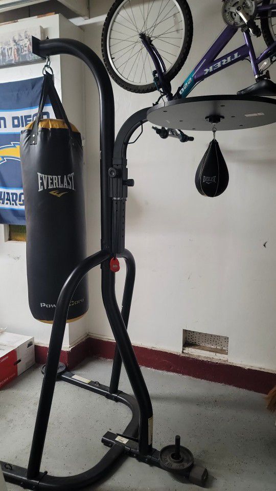 Punching Bag & Speed Bag With Stand