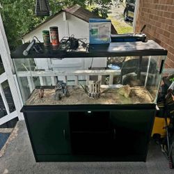 55 gallon fish tank and stand
