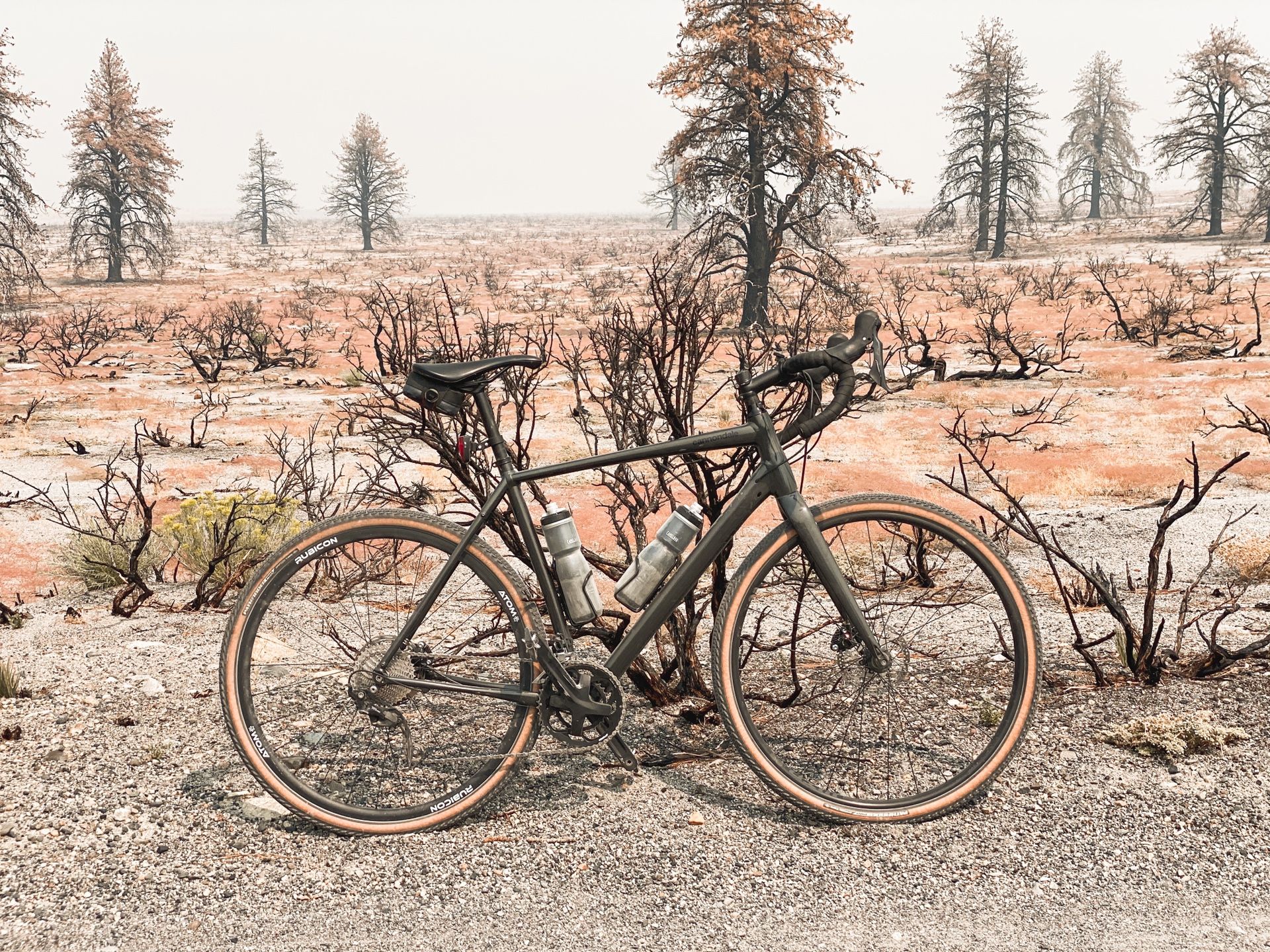 2020 Cannondale Topstone Alloy Gravel Bike