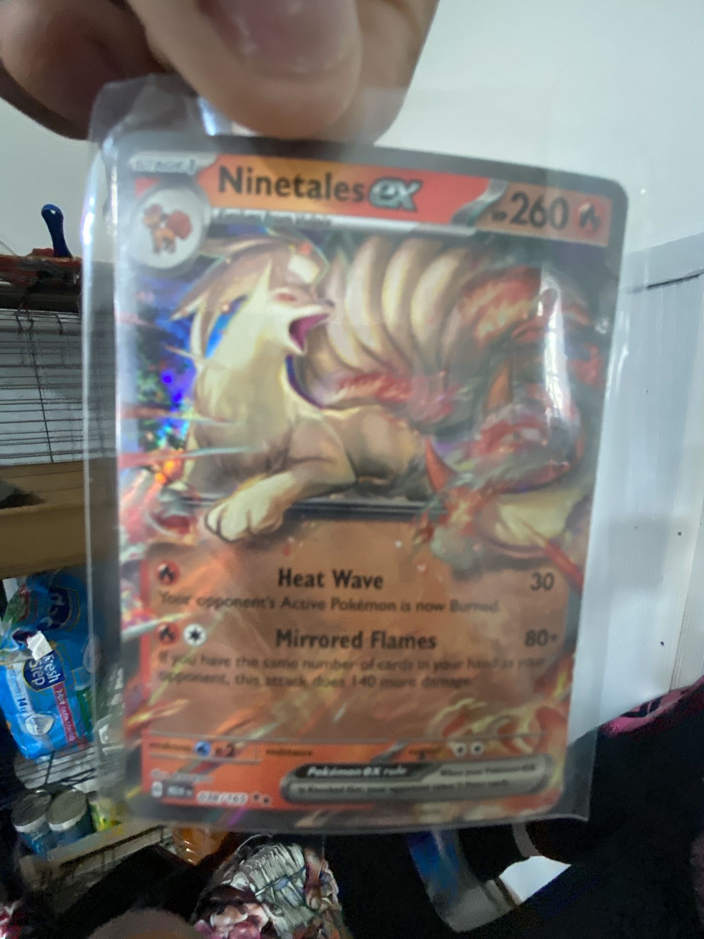 Ninetales Ex 038/165