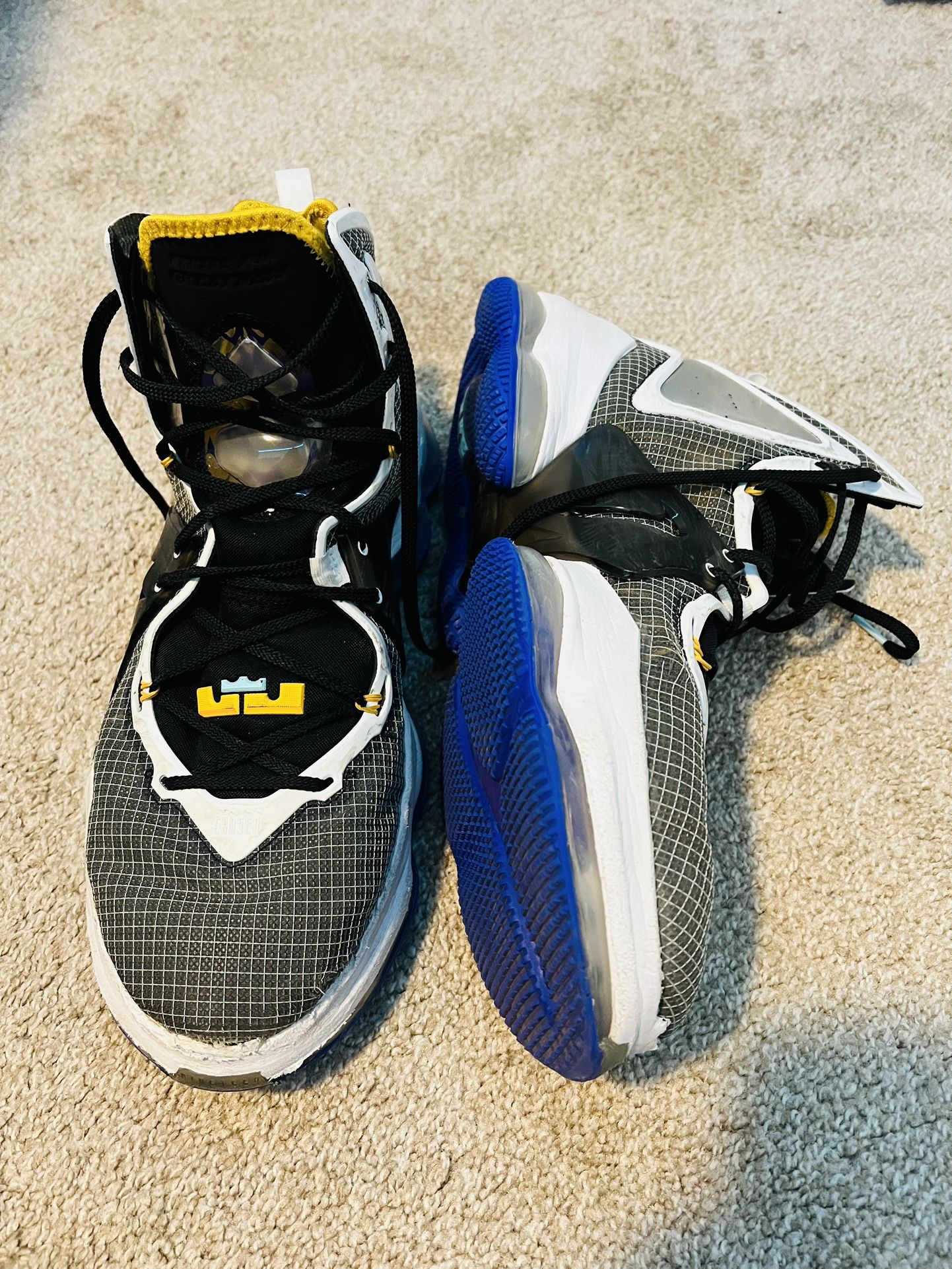 Lebron 19s Graduate