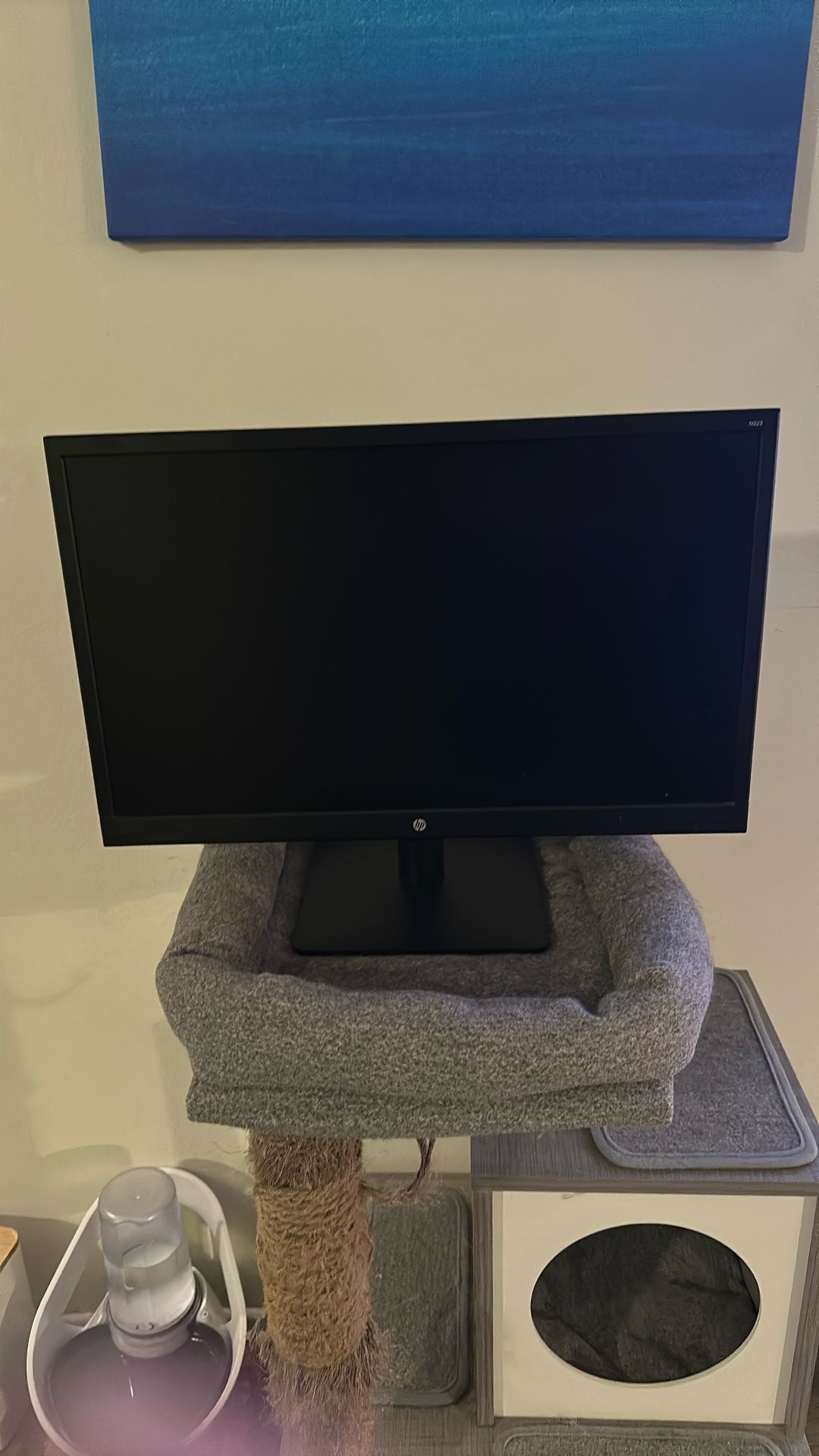 HP N223 Monitor - 21.5 In