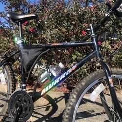 Mountain Bike