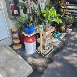 Everything Is For Sale! Open Till 7pm !