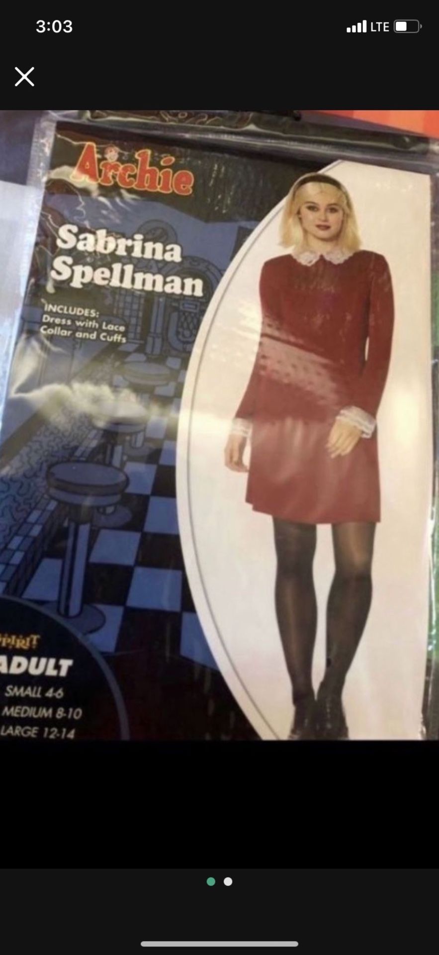 sabrina spellman costume 