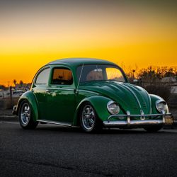 1964 VW BUG
