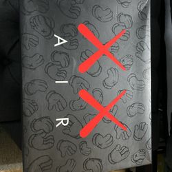 Jordan 4 Kaws 