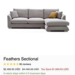 Valyou Feathers Sectional (110”) – Excellent Condition – Priced to Sell