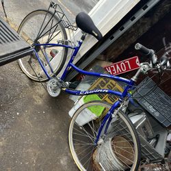 Schwinn Bike 