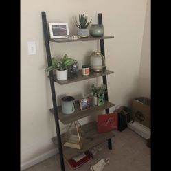 Ladder Shelf
