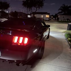 Mustang gt