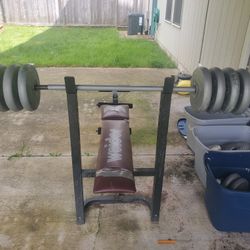 Bench and Assorted Weights.