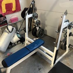 Bench Press With Plate Holder Only 