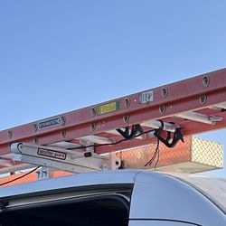 40Ft Ladder 
