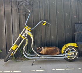 Scooter