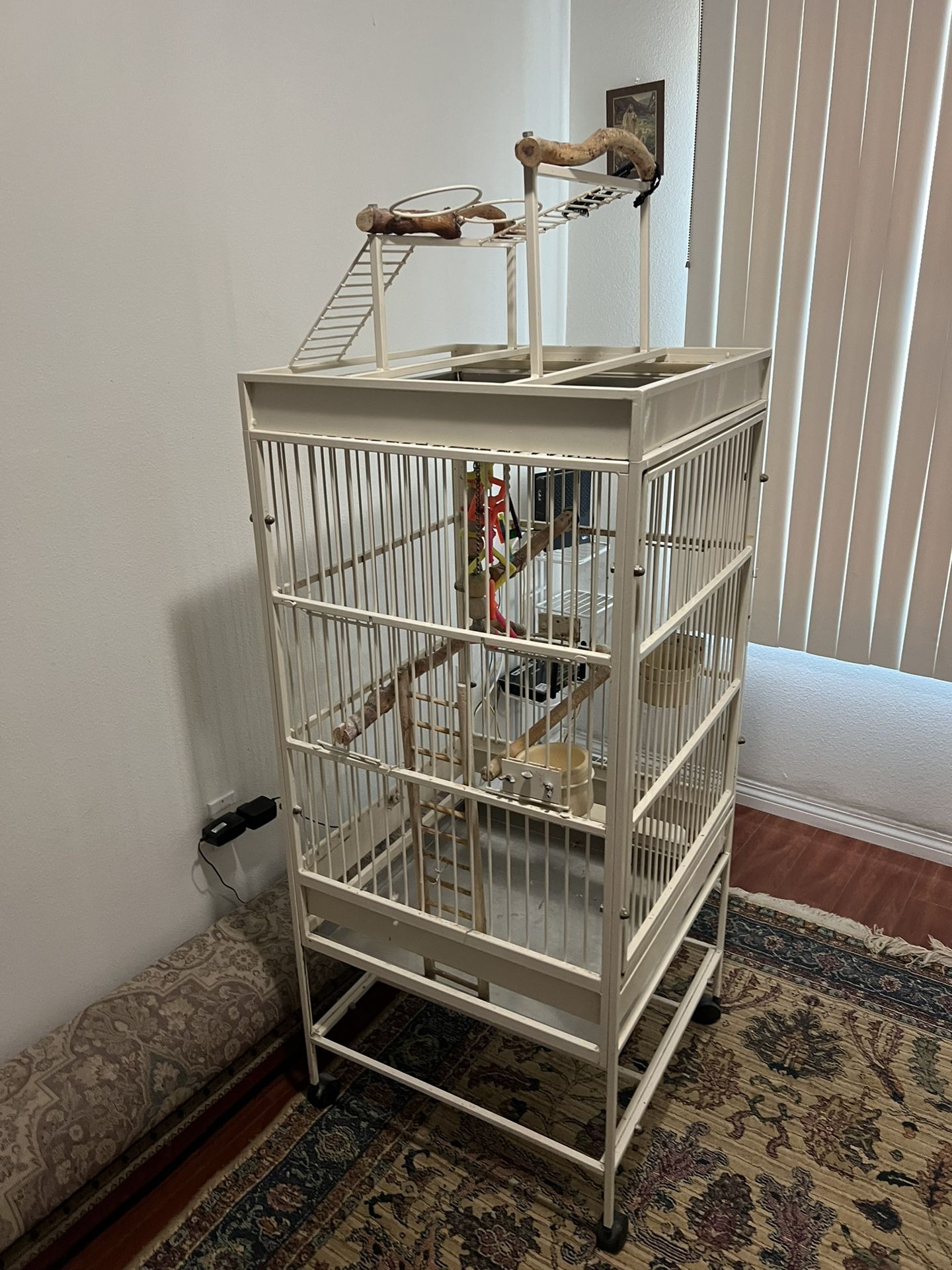 Bird Cage
