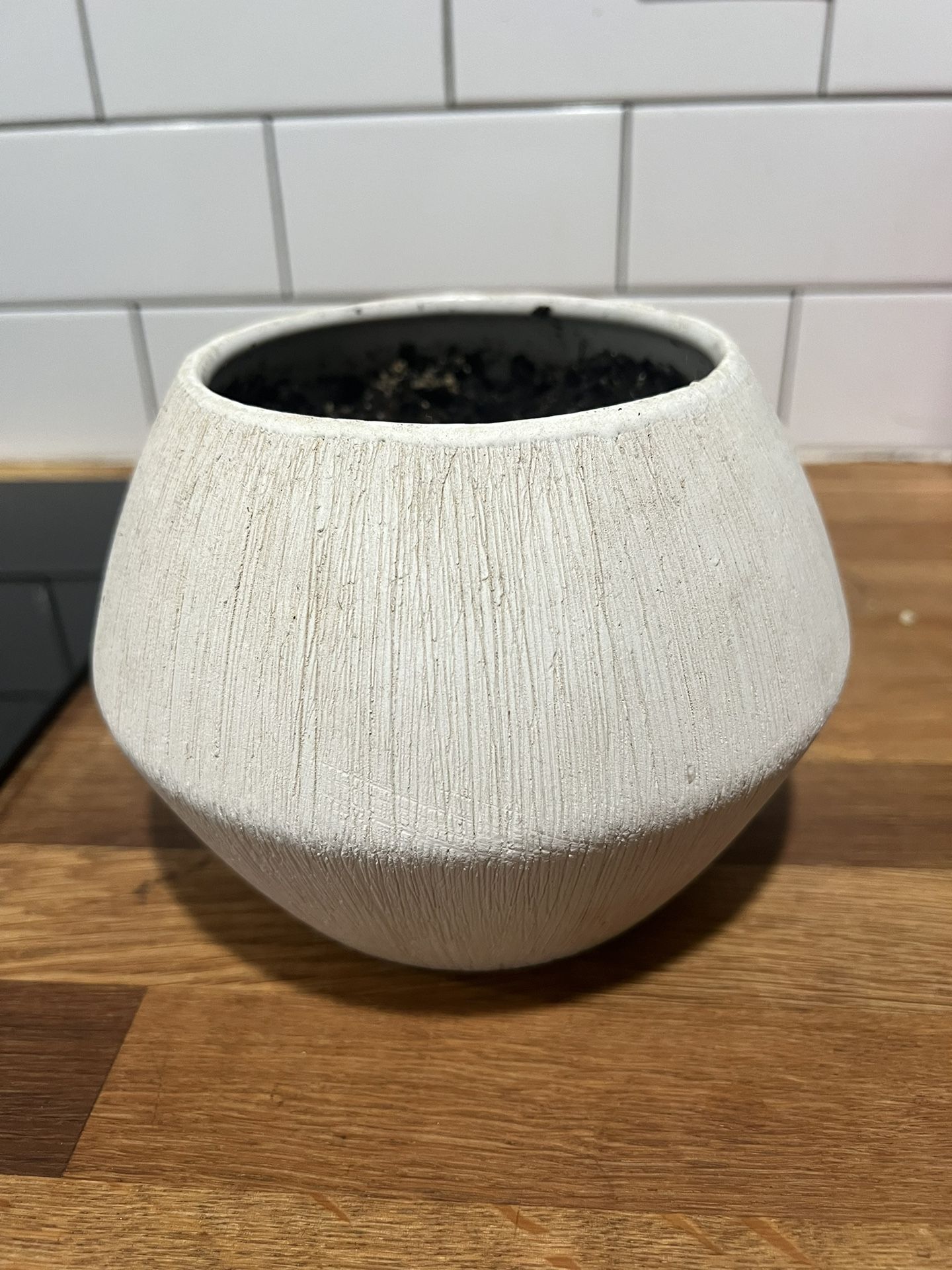 Plant Pot