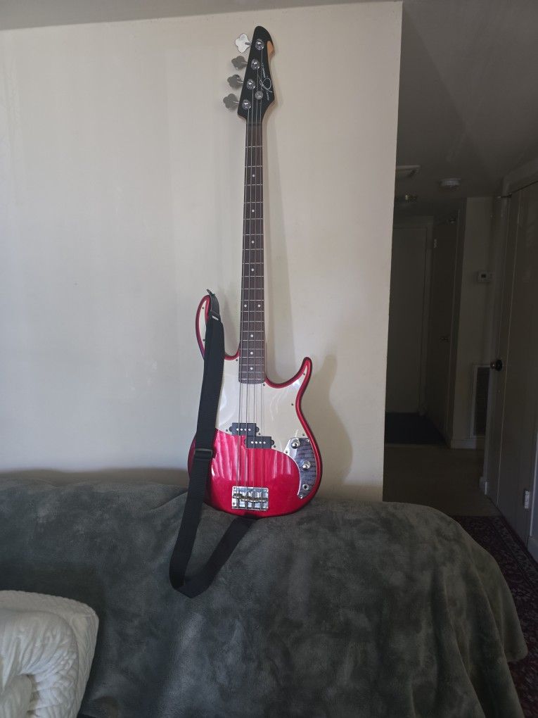 Electric Bass Guitar