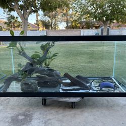 75 Gallon Fish Tank Heater Pump Decor 