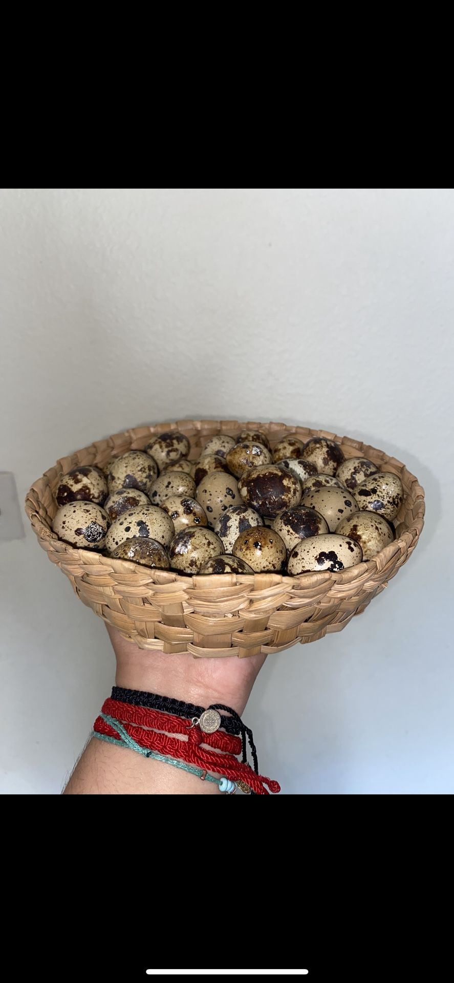 Organic Quail Eggs