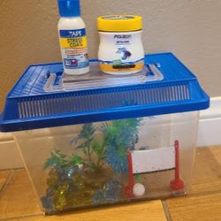  Fish Starter Set