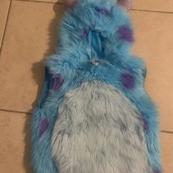 Sullivan From Monsters Incorporated Hooded 