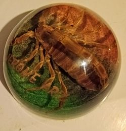Scorpion Paperweights (2) & a SCORPION YOYO