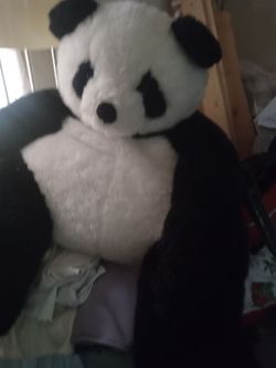 mirror;panda bear;& hair curlers