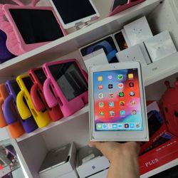 Minis Ipad Actualization 12.3.6.    Wiffi. $85.  Cell. $100
