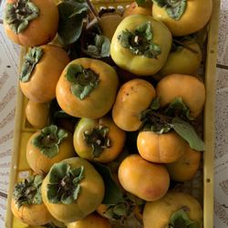 Fresh Persimmon 2$/pound