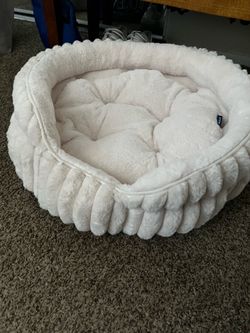 Cat bed almost new