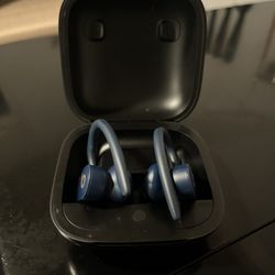 Beats by Dr. Dre Powerbeats Pro Bluetooth True Wireless Earbuds