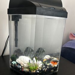 5 Gallon Fish Tank
