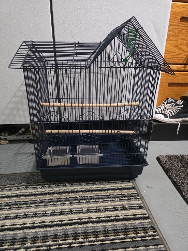 Bird Cage 