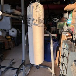 Punching Speed Bag And Power Pull Up Bar 