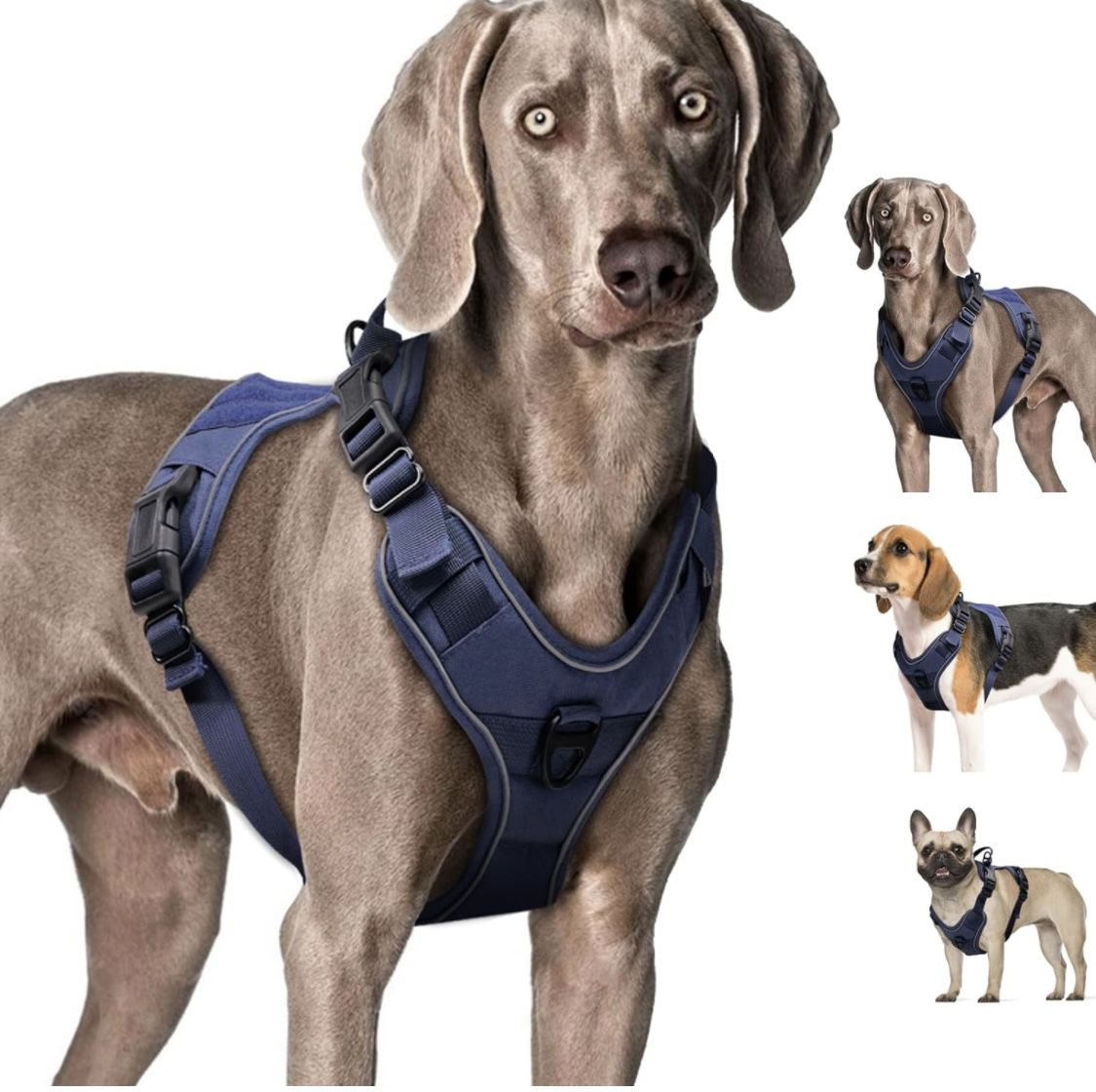Dog Harness (Large, Blue)