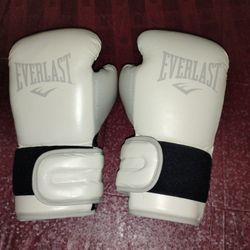 Everlast Boxing Gloves 