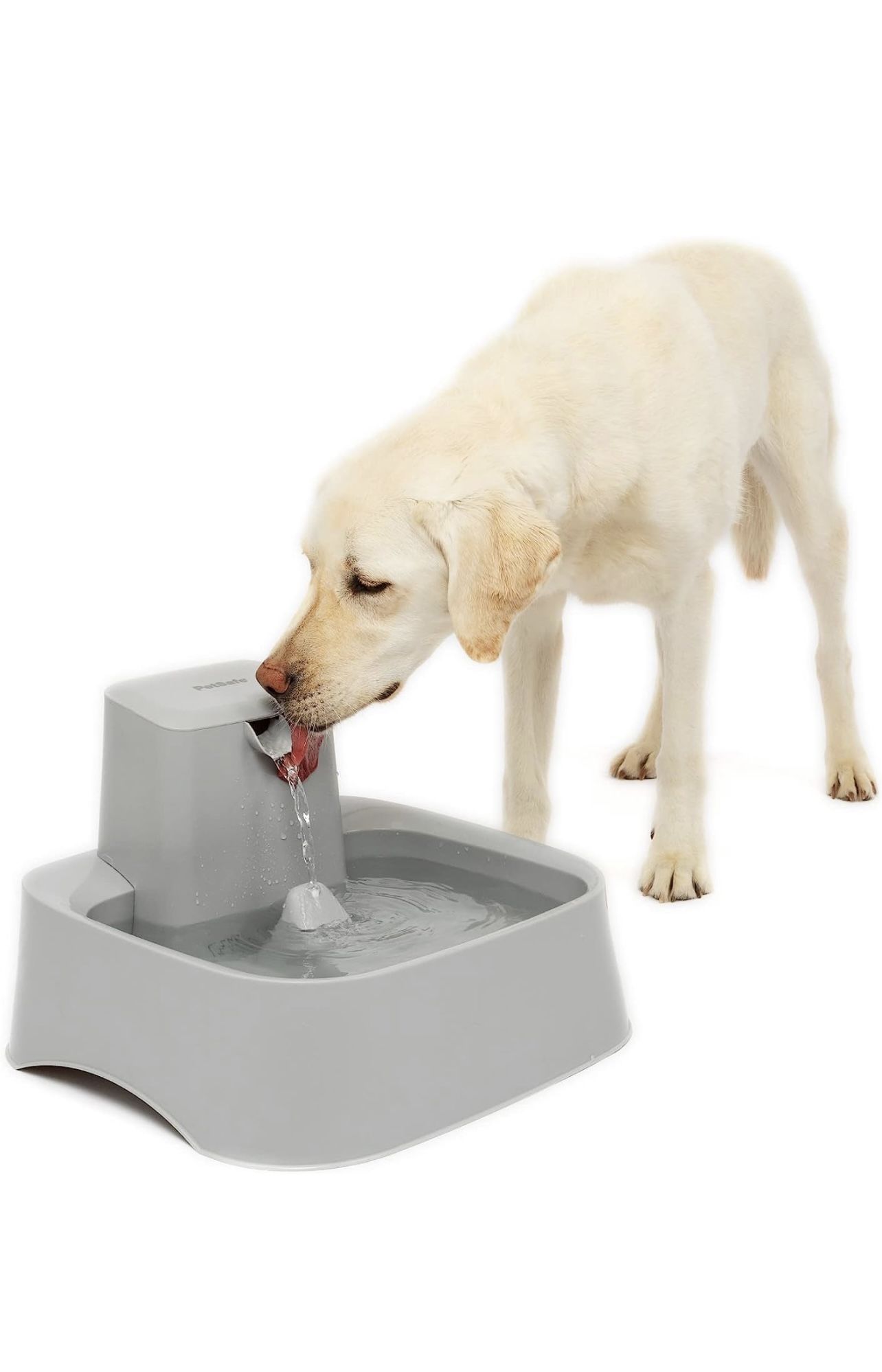 2 Gallon Pet Fountain 